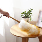 Scalable Wool Duster Brush