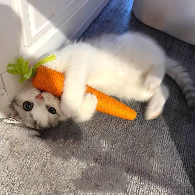 Interactive Carrot Cat Toy with Sound