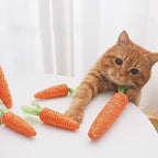 Interactive Carrot Cat Toy with Sound
