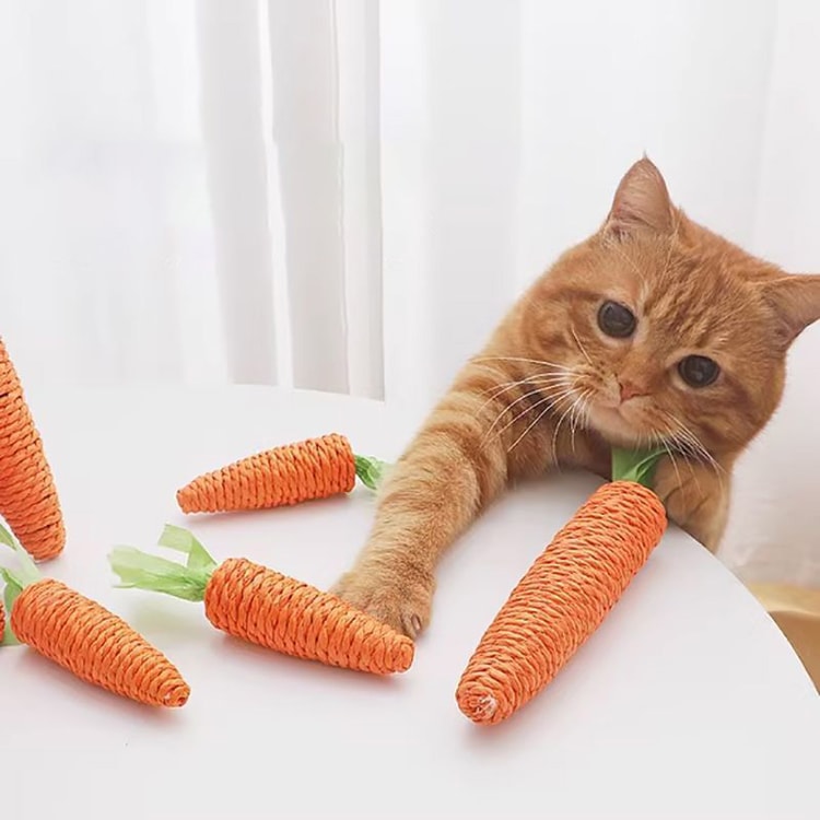 Interactive Carrot Cat Toy with Sound