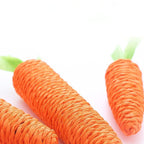 Interactive Carrot Cat Toy with Sound