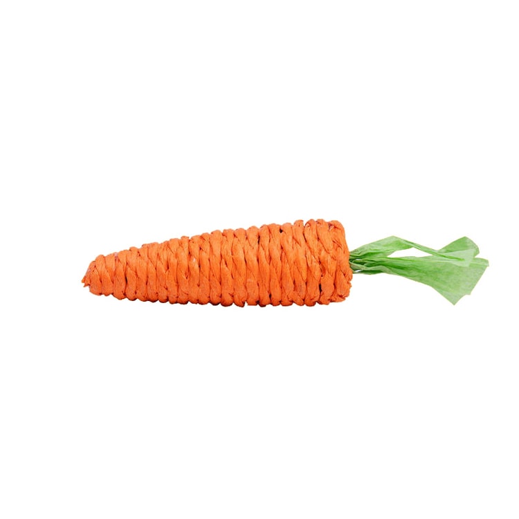 Interactive Carrot Cat Toy with Sound